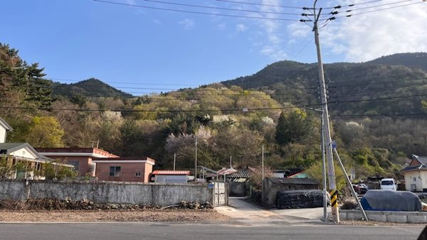 거류면 화당리 당동교회 첫예배당 장소로 가는길-1