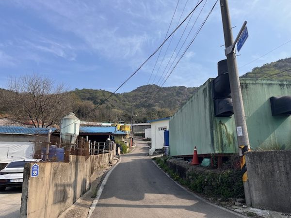 교회뒤쪽할아버지산소로가는길1