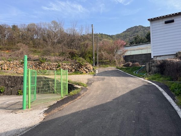 교회뒤쪽할아버지산소로가는길2